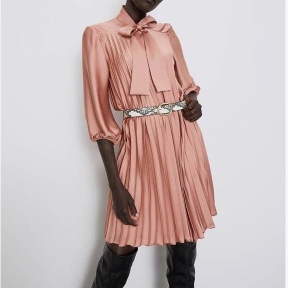 Zara Blush Long Sleeve Pleated Dress
